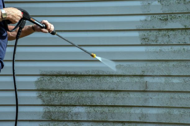 Best Driveway Pressure Washing  in Clearlake Oaks, CA